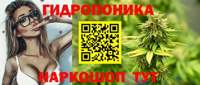 дурь Шахты