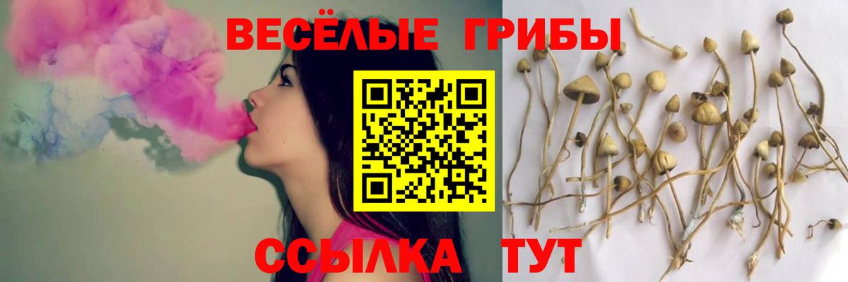 Где купить наркотики?  Белорецк  КОКАИН  Мефедрон кристаллы  Вход с VPN  Бошки Шишки  ГАШ 